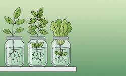 Featured image of post 生活与日常