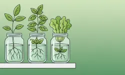 Featured image of post 生活与日常