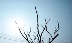 Featured image of post 同样是晴天，为何北京蓝得通透，郑州午后却转灰？