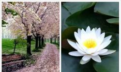 Featured image of post 四季