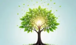 Featured image of post 从“搬设备”到“优网络”：OLT回撤如何真正实现极简网络的价值？