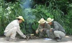 Featured image of post 安哥拉记行-1