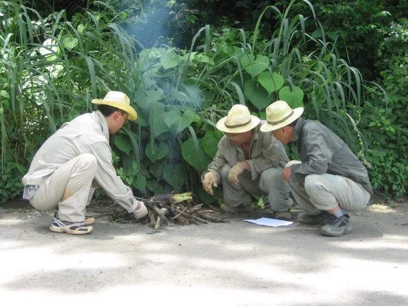 Featured image of post 安哥拉记行-1