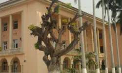 Featured image of post 安哥拉中部行记1(Luanda-Lobito)