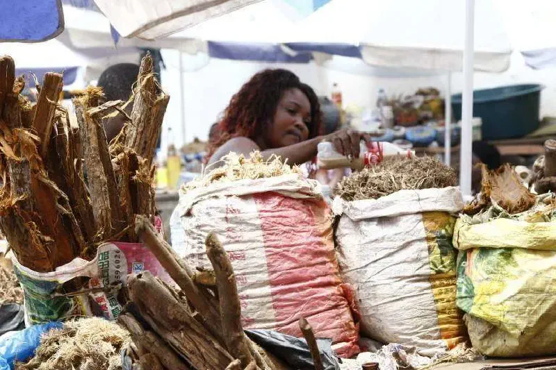 Featured image of post 卡宾达树皮