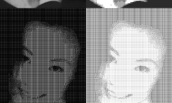 Featured image of post 色子肖像