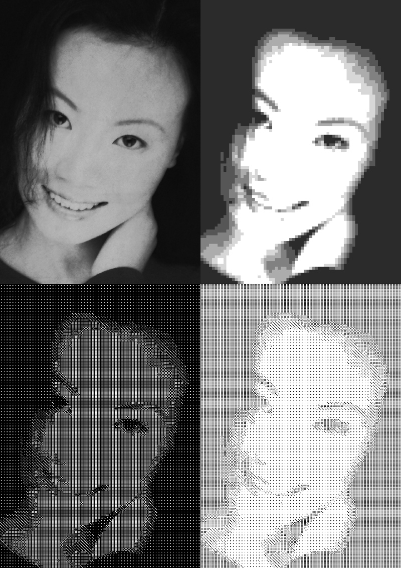 Featured image of post 色子肖像